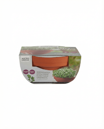 Kit de cultivo de microverdes de couve frisada Curly Kale em prato de terracota (Brassica oleracea) – sementes da SeedsChoice
