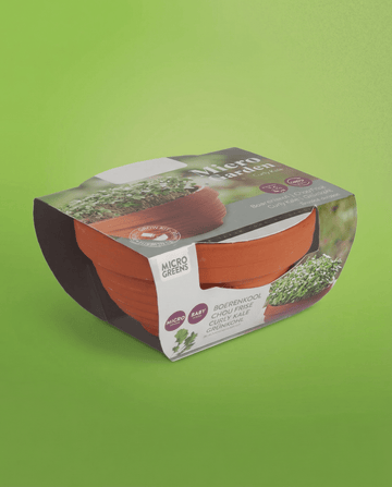Brassica oleracea – Microverdes de Couve Frisada cultivados em prato de terracota a partir de semente