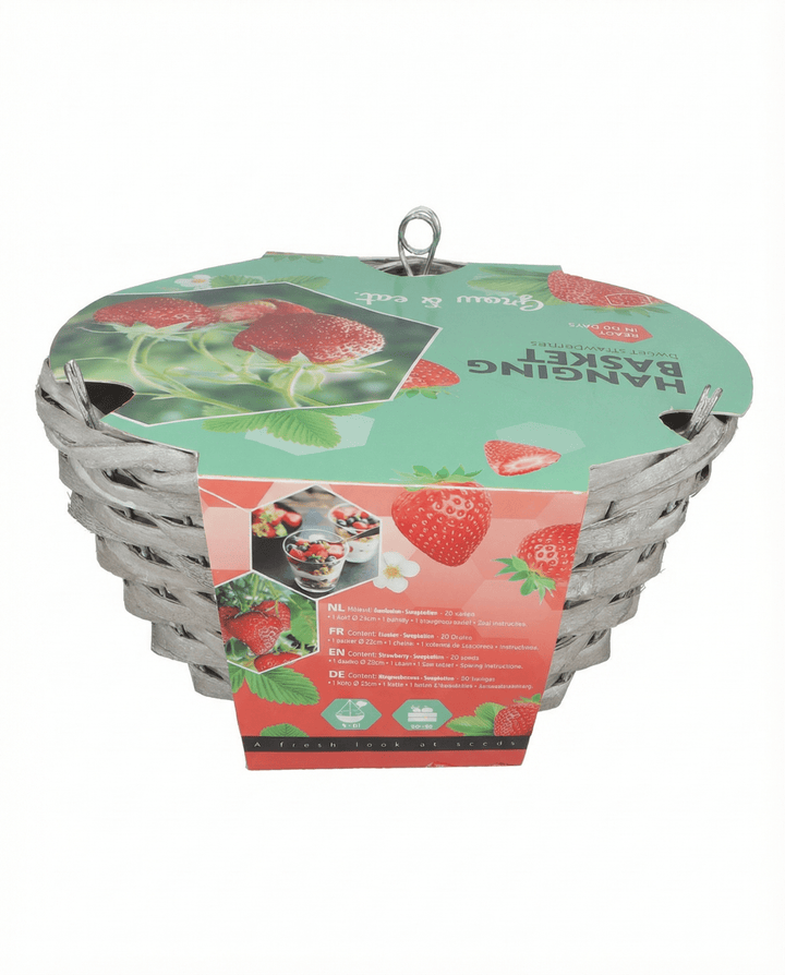 Sementes de morango para cesto suspenso Temptation (Fragaria × ananassa) – kit de cultivo
