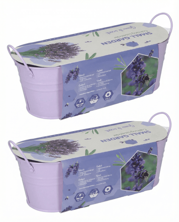 Semillas de lavanda (Lavandula angustifolia) – kit de cultivo perenne