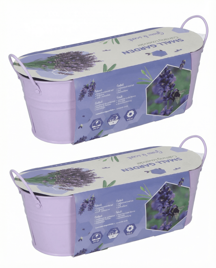Semillas de lavanda (Lavandula angustifolia) – kit de cultivo perenne