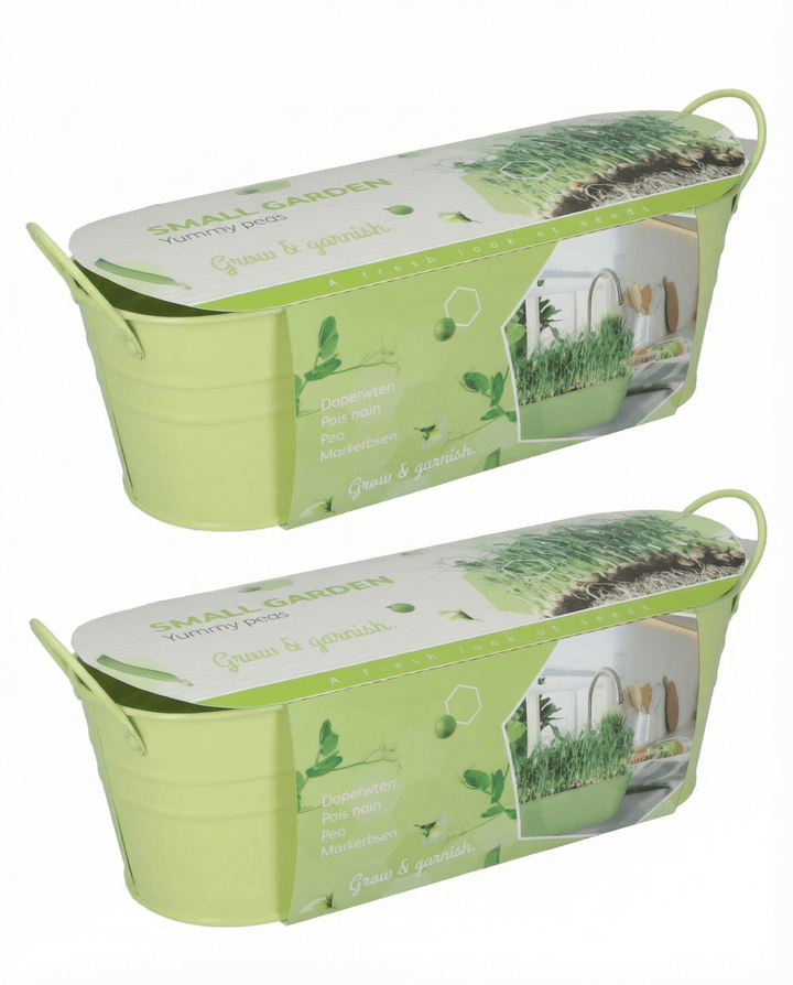 Semillas de guisante Stardust para microgreens (Pisum sativum) – microgreens