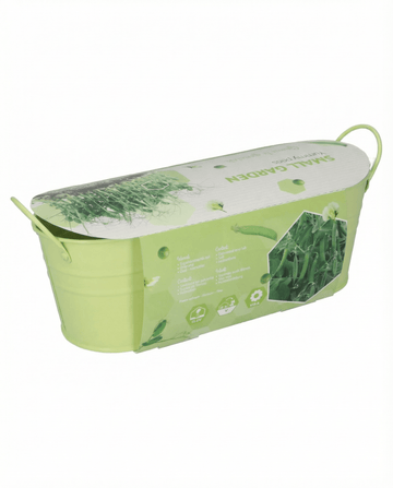 Guisante Stardust para microgreens (Pisum sativum) – semillas de microgreens de SeedsChoice