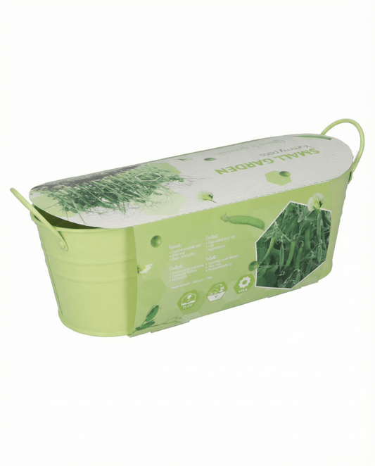Guisante Stardust para microgreens (Pisum sativum) – semillas de microgreens de SeedsChoice