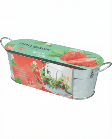 Fresa colgante (Fragaria ananassa) – semillas perennes de SeedsChoice