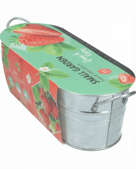 Sementes de Morangueiro Pendente Fragaria Ananassa Variedade Perene de Fruto