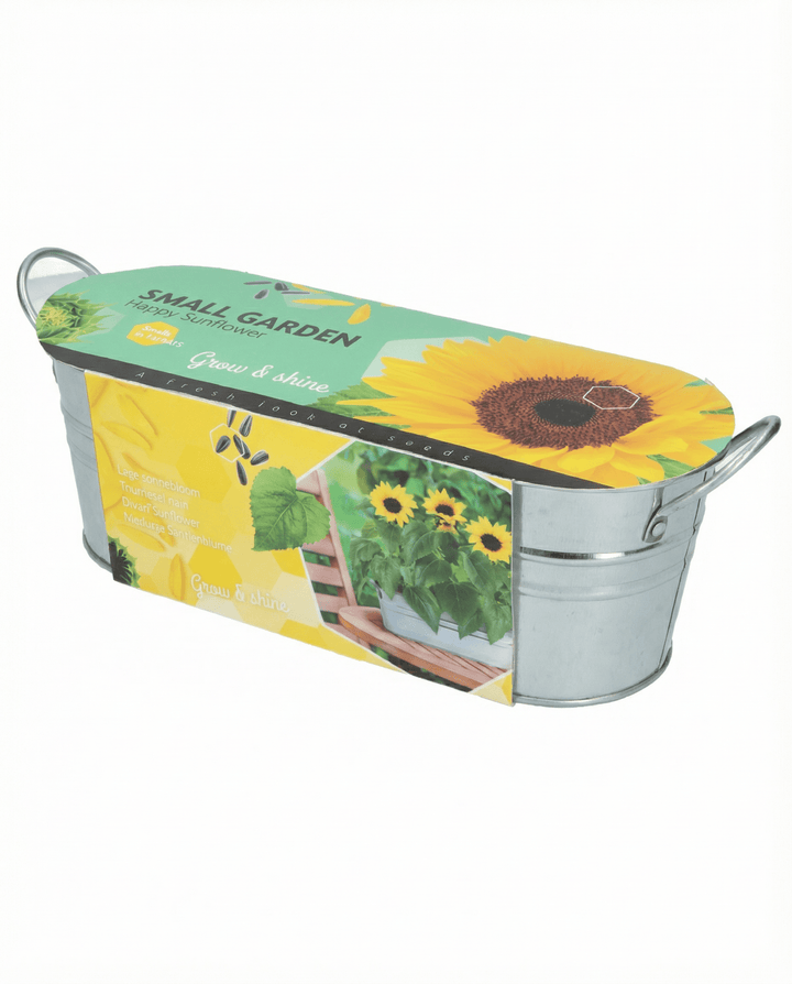 Sementes de girassol anão de porte baixo (Helianthus annuus) – flor