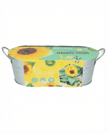Girasol enano de porte bajo (Helianthus annuus) – semillas de flor de SeedsChoice