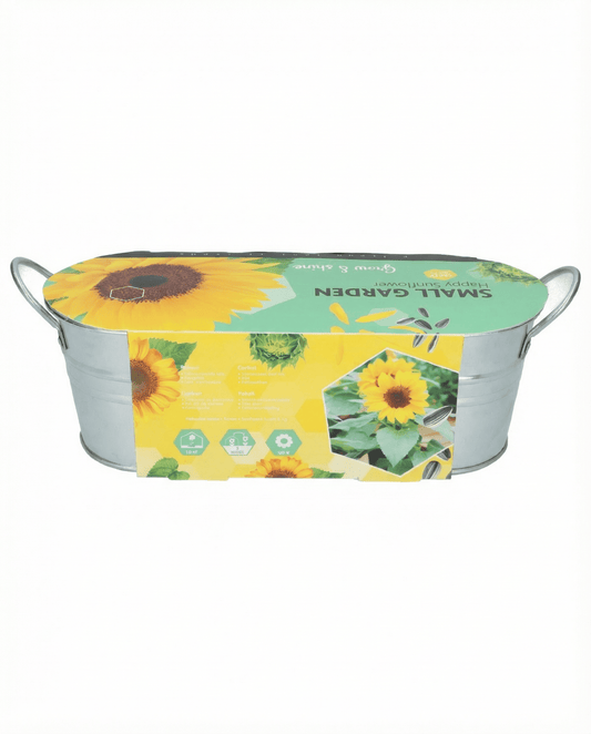 Girassol anão de porte baixo (Helianthus annuus) – sementes de flor da SeedsChoice