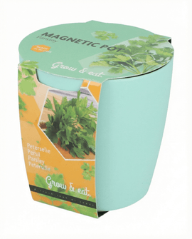 Kit de cultivo de semillas de hierbas: surtido con Ocimum Basilicum, albahaca, cebollino y perejil