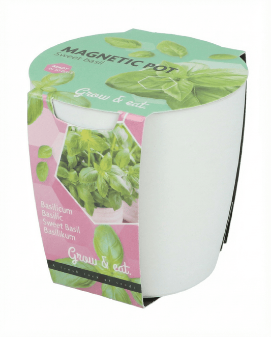 Surtido albahaca, cebollino y perejil (Ocimum basilicum) – semillas de kit de cultivo de SeedsChoice