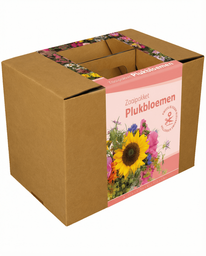 Sementes de mistura para buquês com fio e tesoura – kit anual