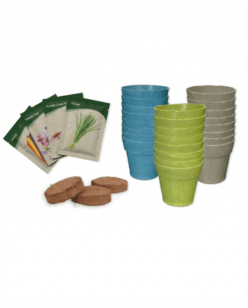 Calendario de Adviento Surtido 24 Variedades semillas – kit de cultivo