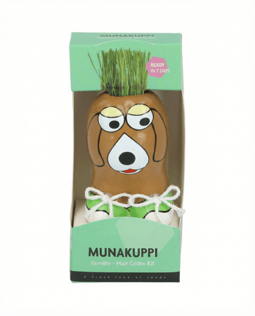 Lolium multiflorum – Grass grown from seed