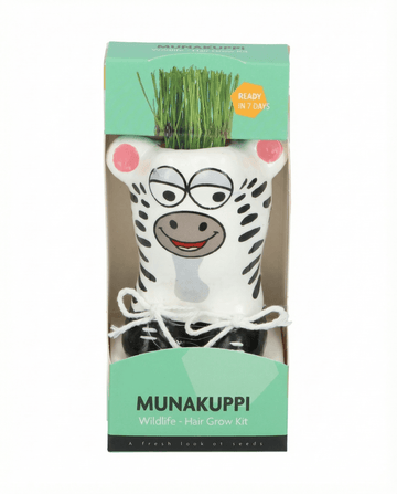 Lolium multiflorum – Grass Zebra grown from seed