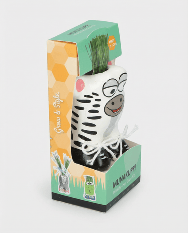 Semillas de césped Zebra (Lolium multiflorum) – kit de cultivo