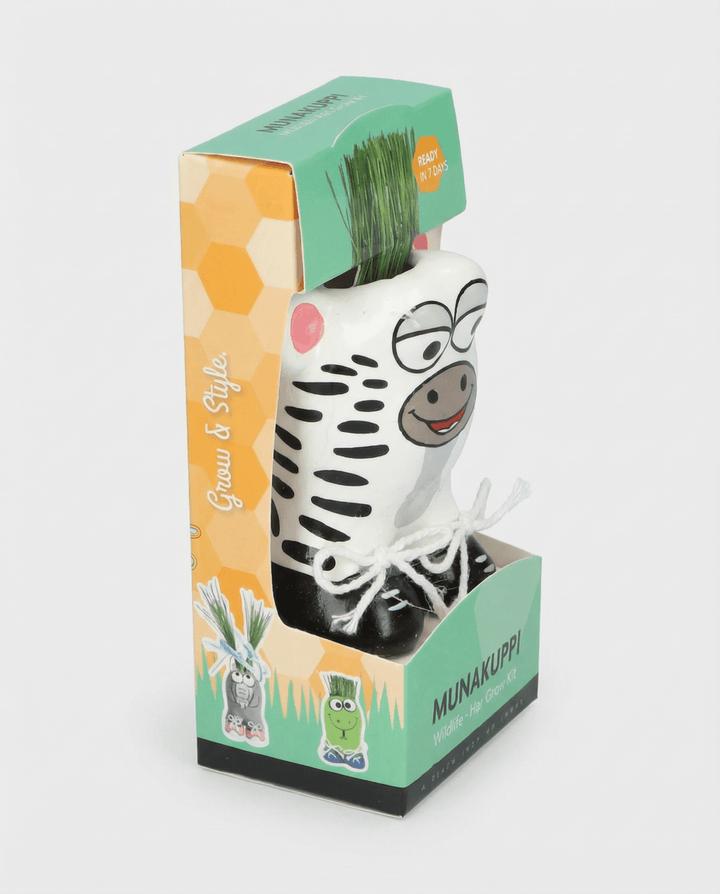 Grass Zebra seeds (Lolium multiflorum) – grow kit