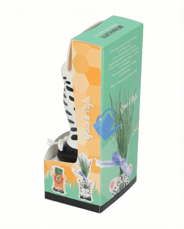 Grass Zebra (Lolium multiflorum) – grow kit seeds from SeedsChoice