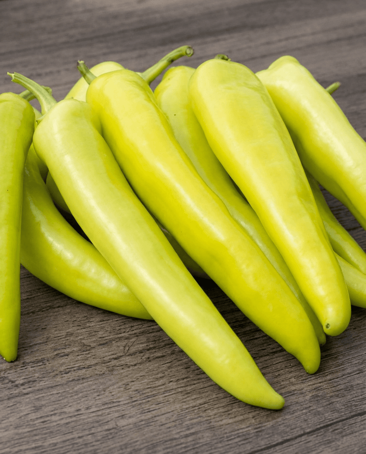 Sementes de pimento húngaro amarelo céreo (Capsicum annuum) – legume anual