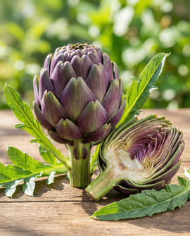 Semillas de alcachofa Violetto Precoce Cynara Scolymus verdura perenne
