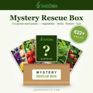 Caixa Surpresa SeedsChoice — mistura surpresa de sementes de hortícolas, ervas aromáticas, flores e frutos