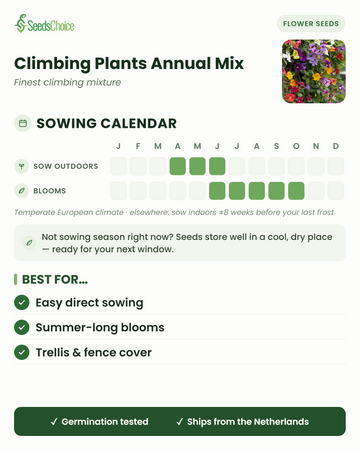 Calendário de sementeira para Climbing Plants Annual Mix num clima europeu temperado: sementeira direta de abril a junho, floração de junho a outubro; as sementes conservam-se bem até à próxima época de sementeira
