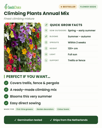 Mistura de plantas trepadoras anuais — factos rápidos: sementeira direta na primavera, flores do verão ao outono, altura 120+ cm, pleno sol, necessita de treliça ou vedação — mistura pronta para cobrir treliças, vedações e pérgolas